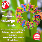 994 Fiesta Fluff Ring - Bonka Bird Toys