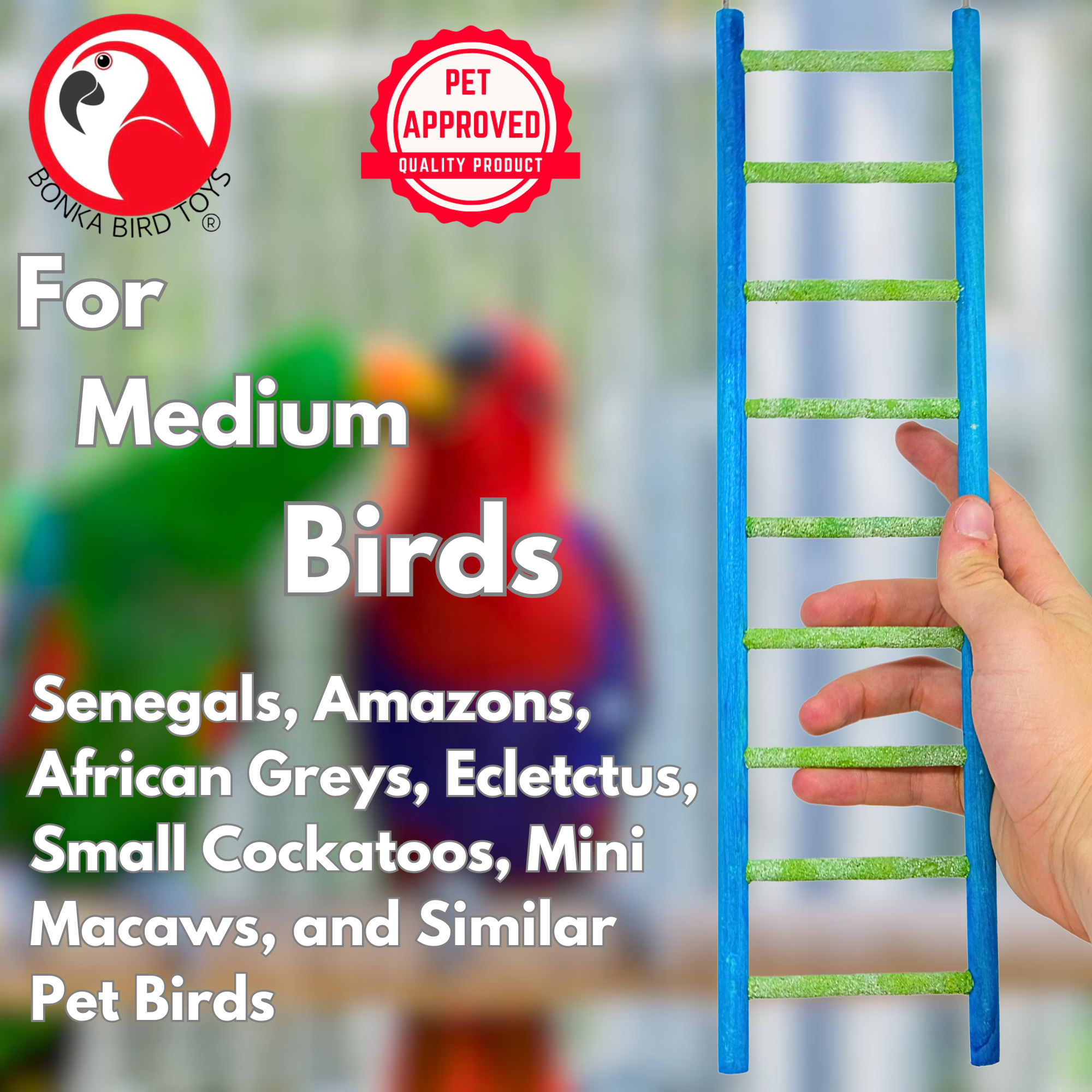 30803 Medium 14" Pedi-Ladder - Bonka Bird Toys