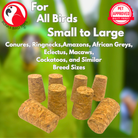 2112 PK8 Corks - Bonka Bird Toys