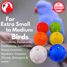 2831 Pk6 Small 1.5" Colored Plastic Balls - Bonka Bird Toys