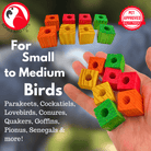 1160 Pk8 3/4" Wood Cubes - Bonka Bird Toys