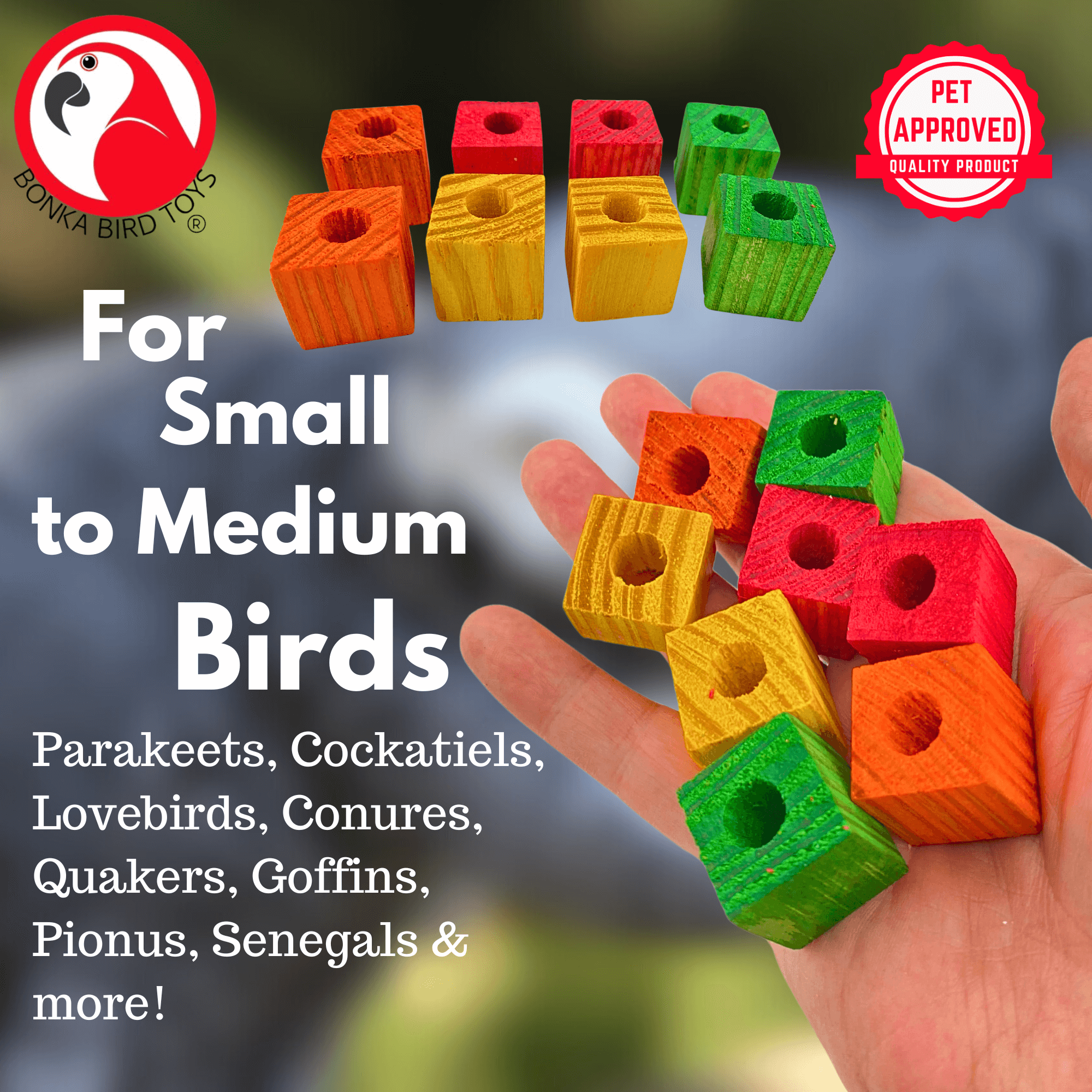 1160 Pk8 3/4" Wood Cubes - Bonka Bird Toys