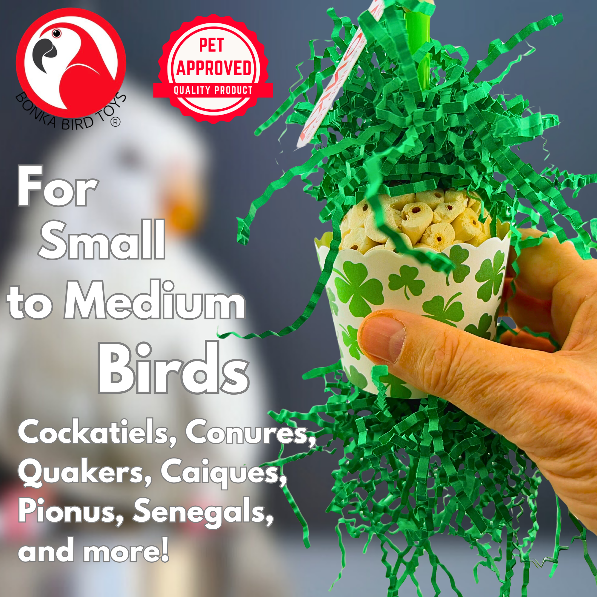 2778 Shamrock Sola Cup - Bonka Bird Toys