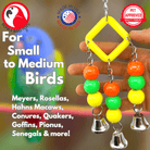 1909 Geo Jingler - Bonka Bird Toys