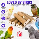 1211 Pk6 Natural Bark Sola Sticks - Bonka Bird Toys