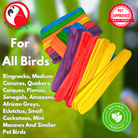 Pk100 Big Colored Wooden Chewy Sticks - Bonka Bird Toys