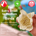 1169 Pk4 Large Sola Atta 3-4" Flowers - Bonka Bird Toys