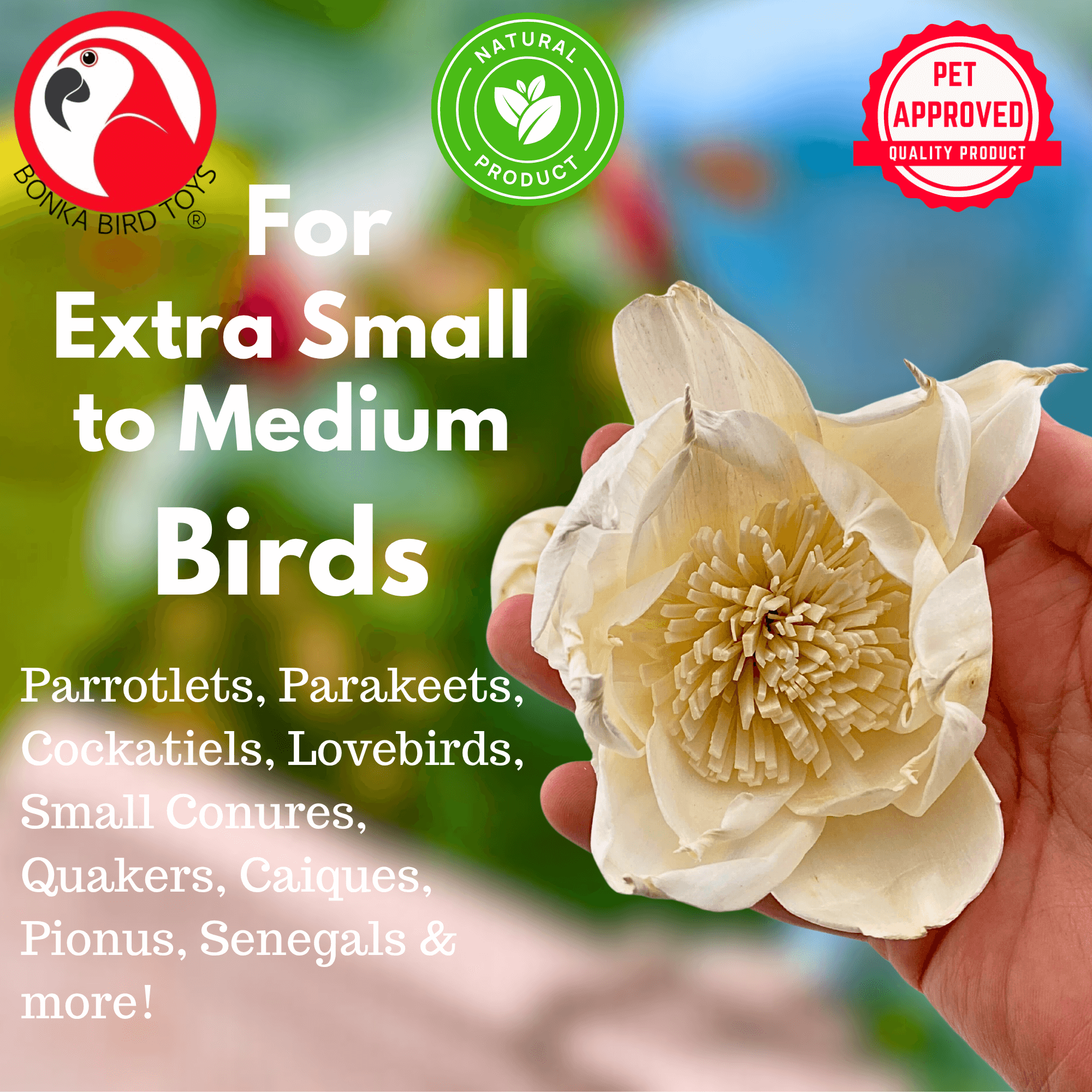 1169 Pk4 Large Sola Atta 3-4" Flowers - Bonka Bird Toys