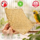 3426 12-Inch Palm Mat - Bonka Bird Toys