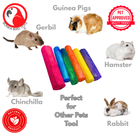 2935 Pk24 Mini Colored Sola Sticks - Bonka Bird Toys