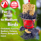 971 Sola Cube Creep - Bonka Bird Toys