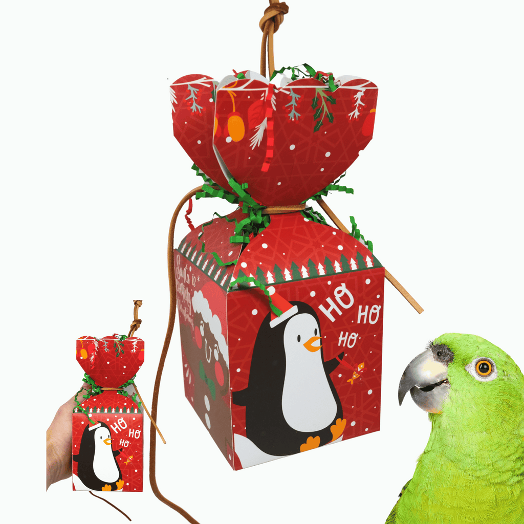 Christmas Box - Bonka Bird Toys