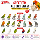 Big Sola Cubes - Bonka Bird Toys