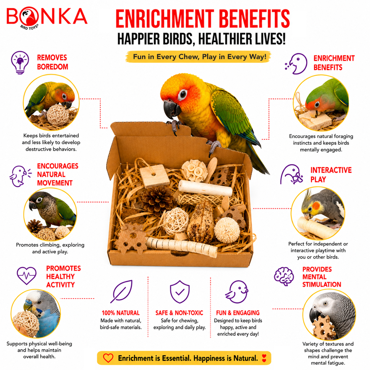 2028 Natural Foraging Bonka Box - Bonka Bird Toys
