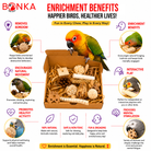 2028 Natural Foraging Bonka Box - Bonka Bird Toys