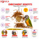 3885 Sola Heart Log - Bonka Bird Toys