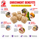 Big Sola Cubes - Bonka Bird Toys