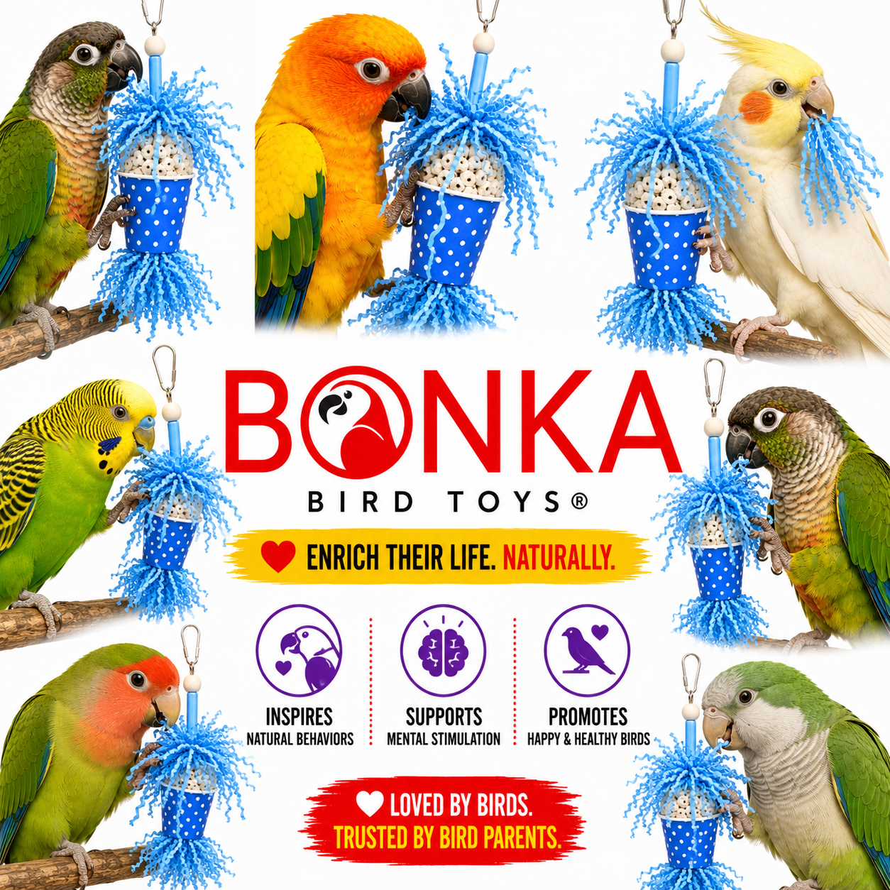 Spotty Sola Foraging Bird Toy - Bonka Bird Toys