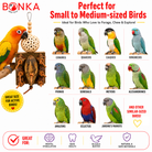 1427 Mahogany Forage Block - Bonka Bird Toys