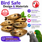 3410 Pk6 Drilled Mahogany Pods - Bonka Bird Toys
