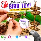 3410 Pk6 Drilled Mahogany Pods - Bonka Bird Toys