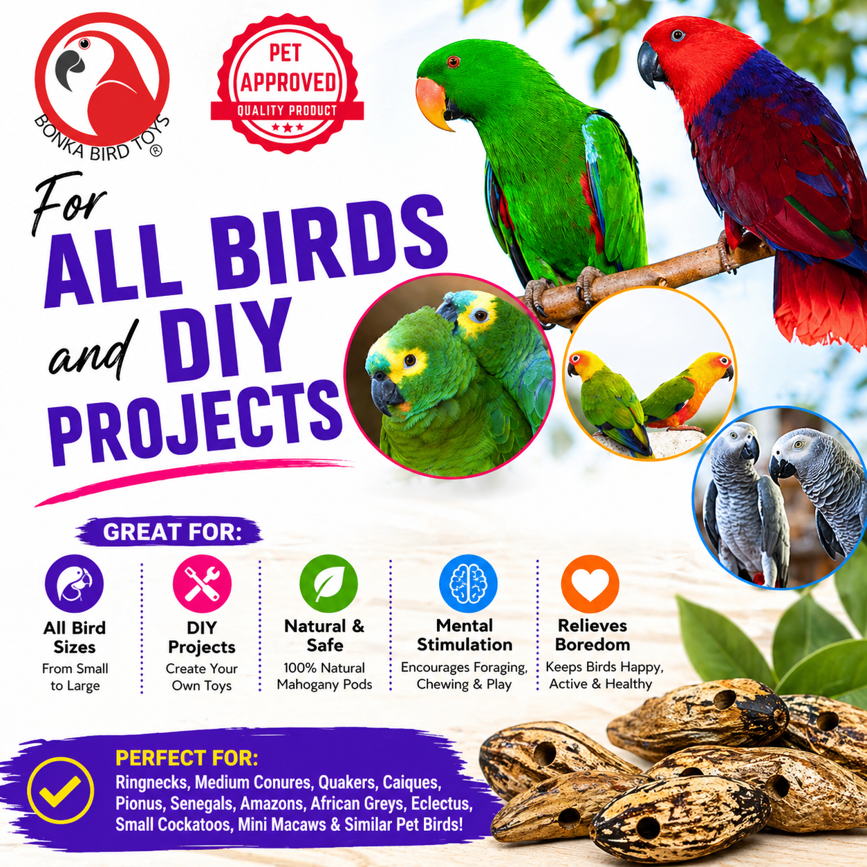 3410 Pk6 Drilled Mahogany Pods - Bonka Bird Toys