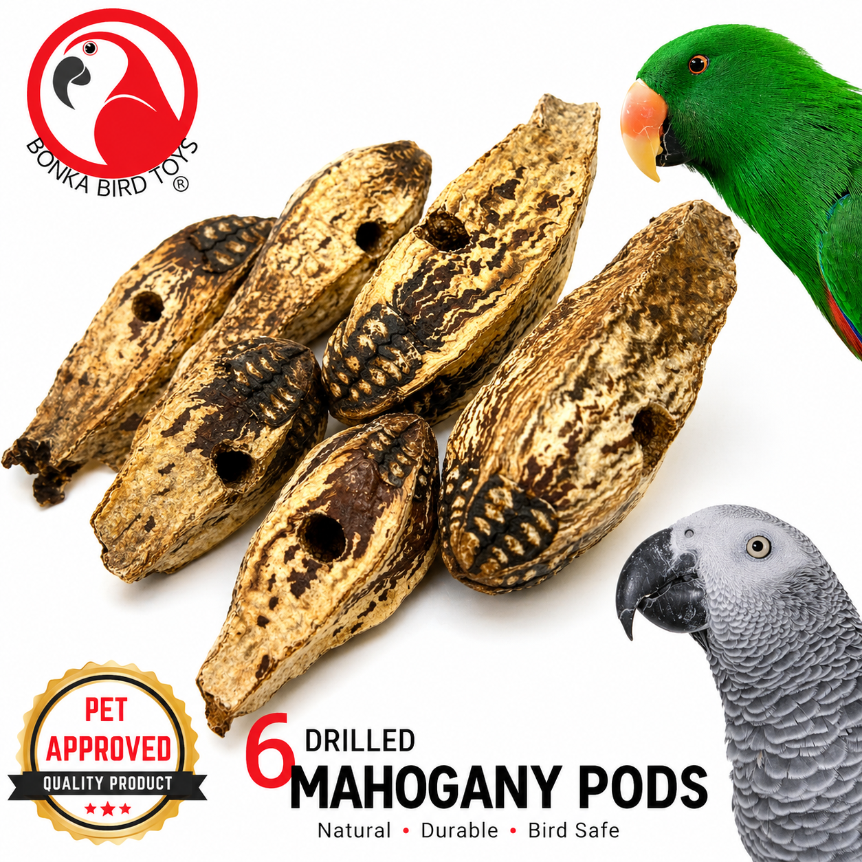3410 Pk6 Drilled Mahogany Pods - Bonka Bird Toys