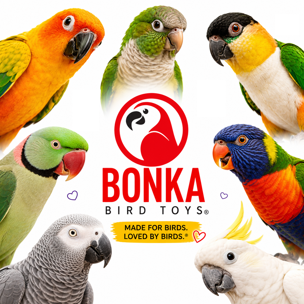 2552 Sola Chewballicious - Bonka Bird Toys