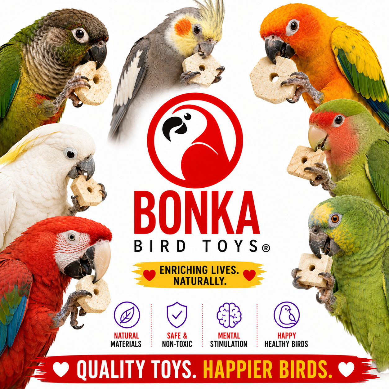 3889 Sola Squares - Bonka Bird Toys