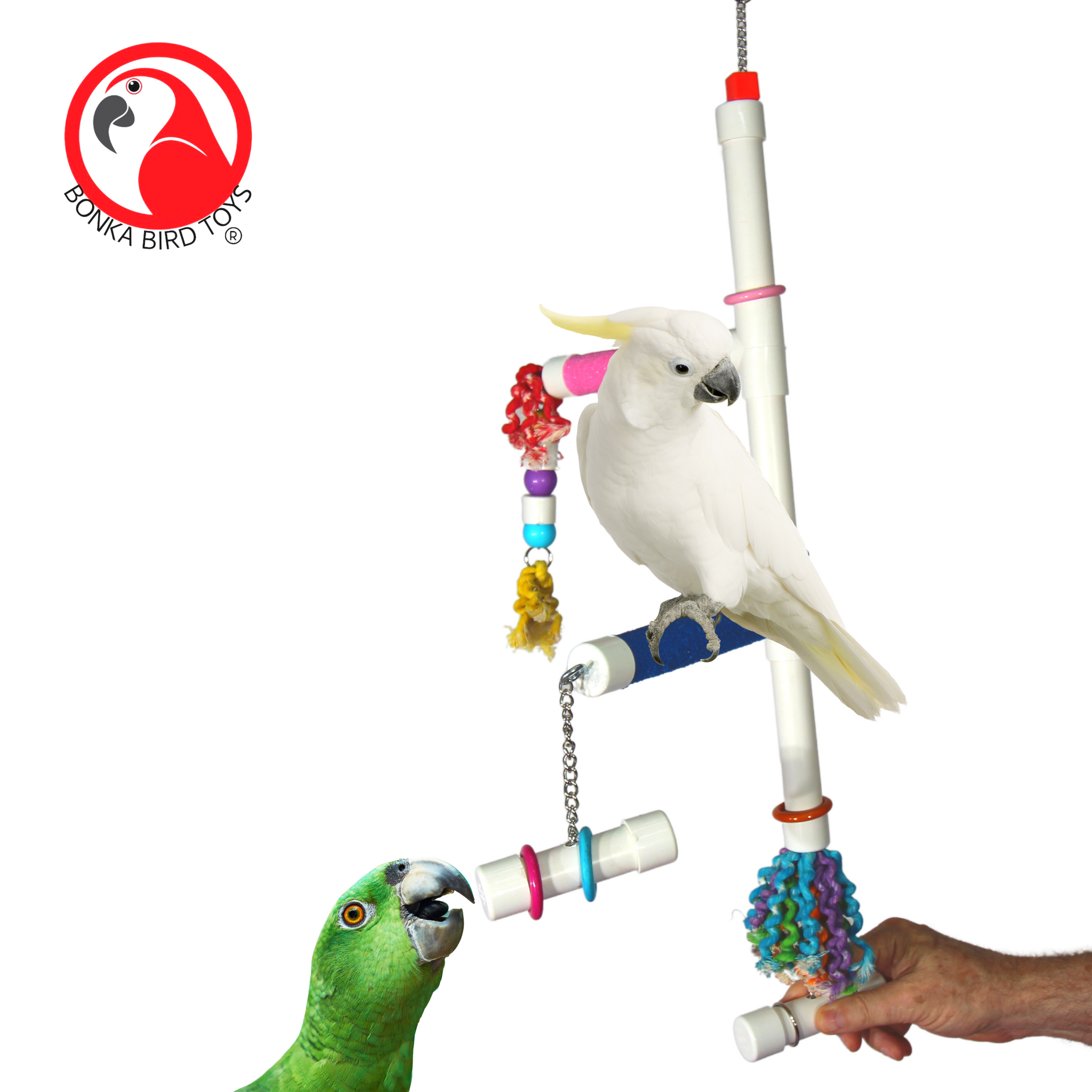 Sale Items from bonka bird toys parrot toy Bonka Bird Toys