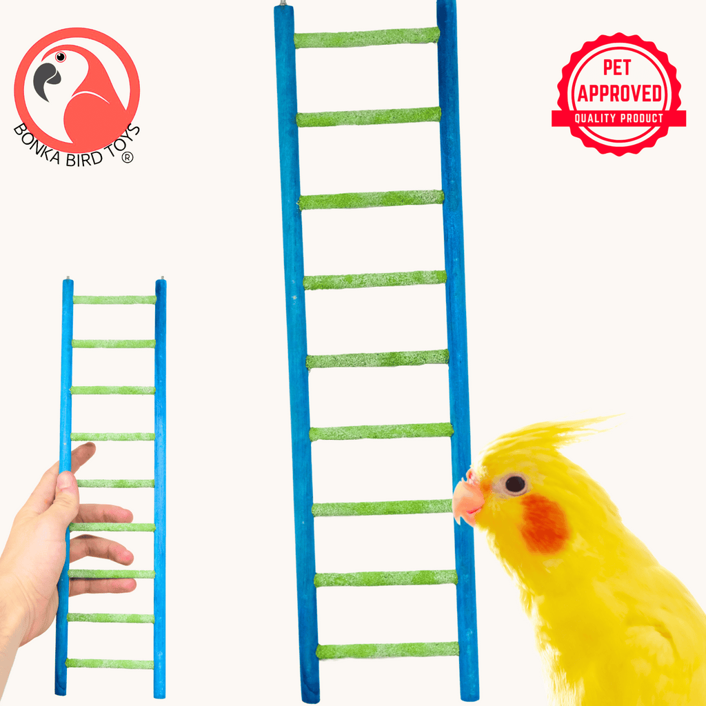30803 Medium Pedi-ladder 14" - Bonka Bird Toys