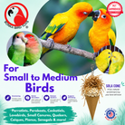 3870 Big Sola Cone - Bonka Bird Toys