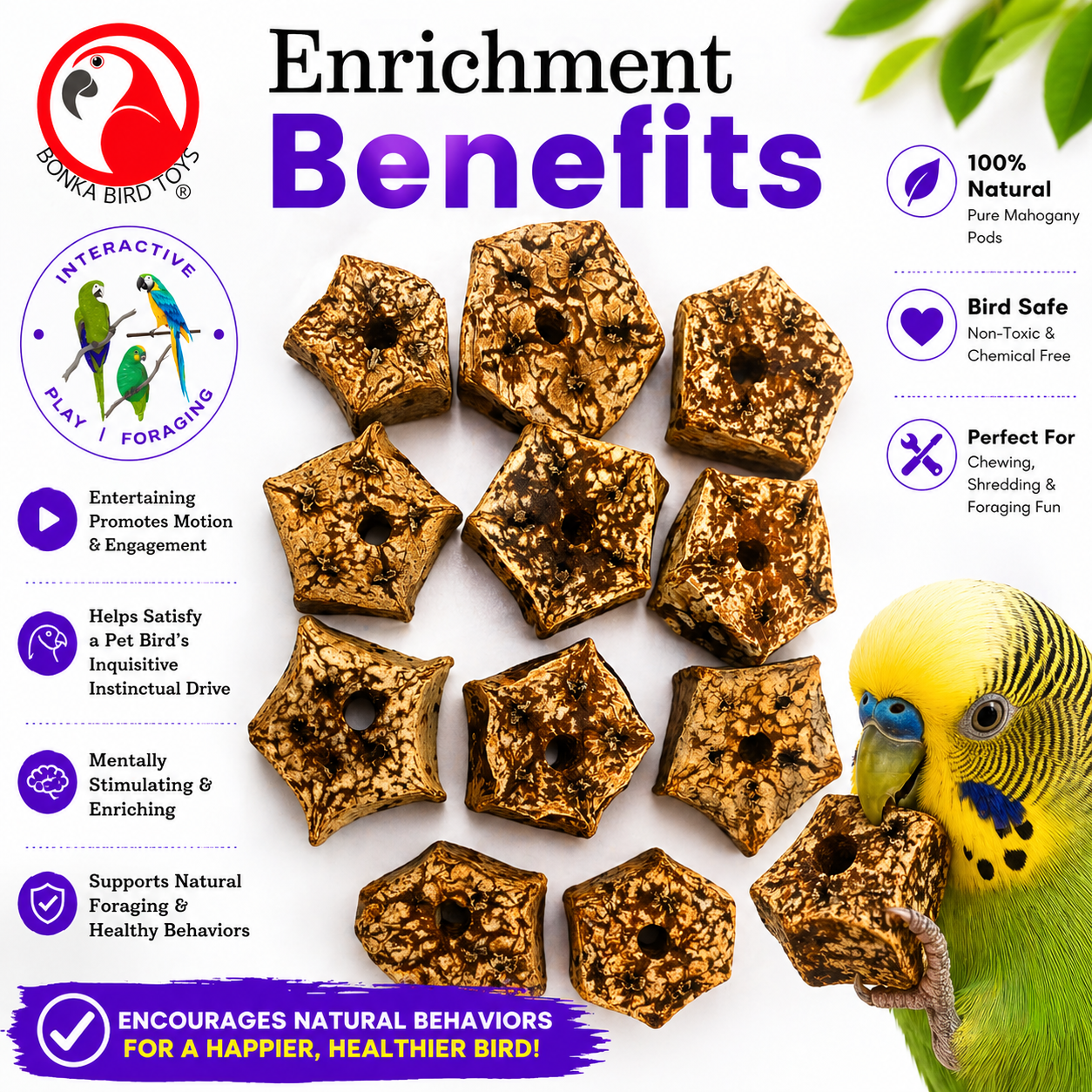 3893 Pk12 Natural Mahogany Sliced Pods - Bonka Bird Toys