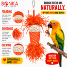 Spotty Sola Foraging Bird Toy - Bonka Bird Toys