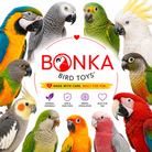 3885 Sola Heart Log - Bonka Bird Toys