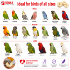 3889 Sola Squares - Bonka Bird Toys