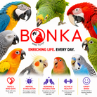 3759 Duo Paci Pull - Bonka Bird Toys