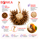 3866 Natural Foraging Star - Bonka Bird Toys