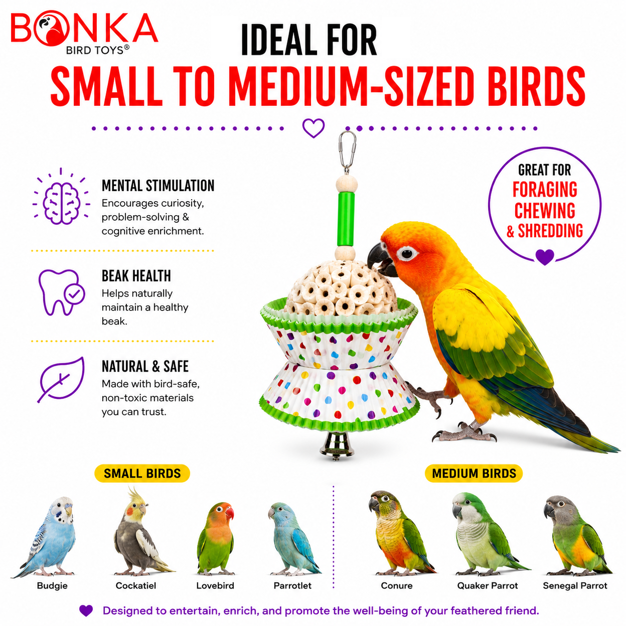 1925 Cake - Bonka Bird Toys
