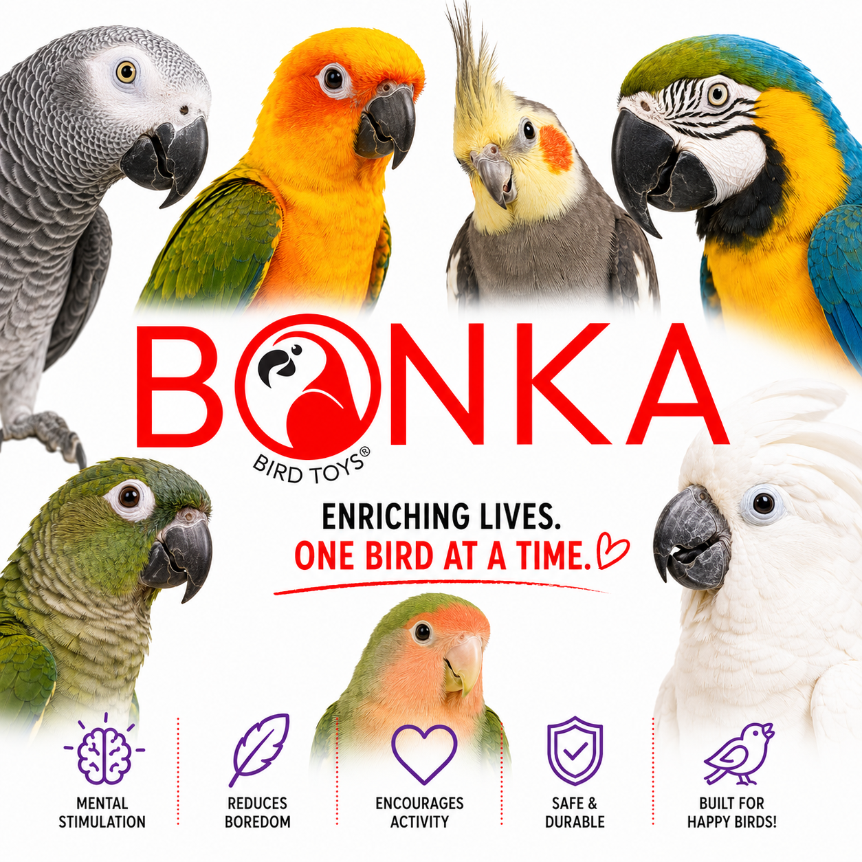 1854 Tri Foraging Star - Bonka Bird Toys