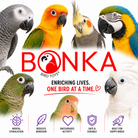 1854 Tri Foraging Star - Bonka Bird Toys