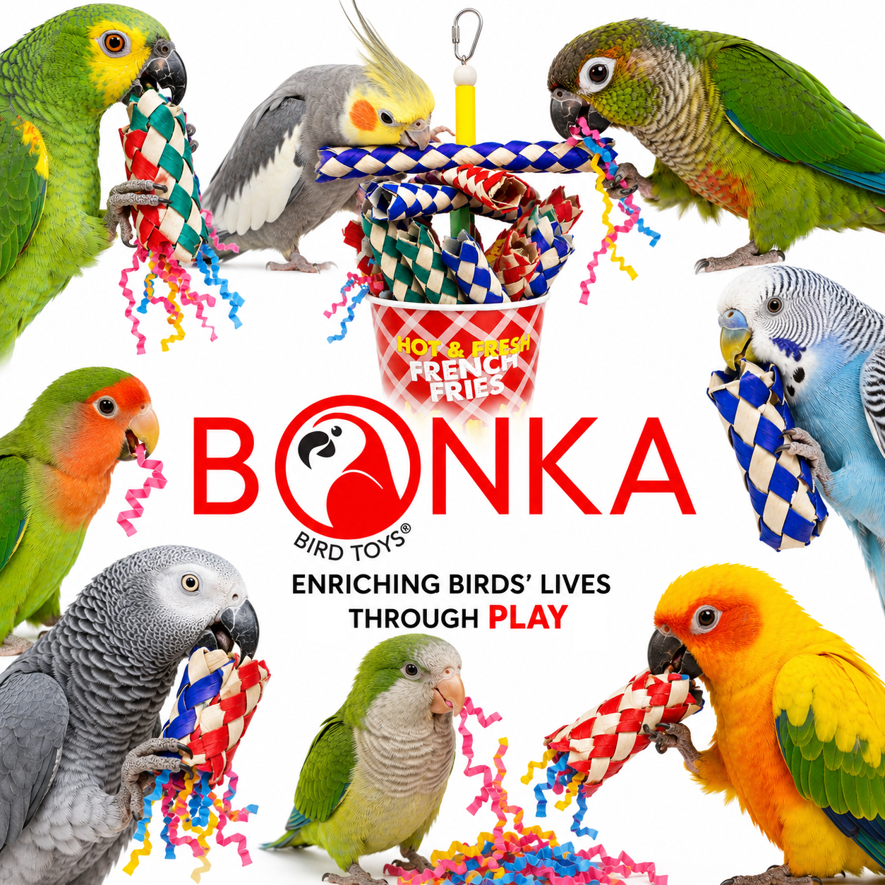 2306 French Fries - Bonka Bird Toys