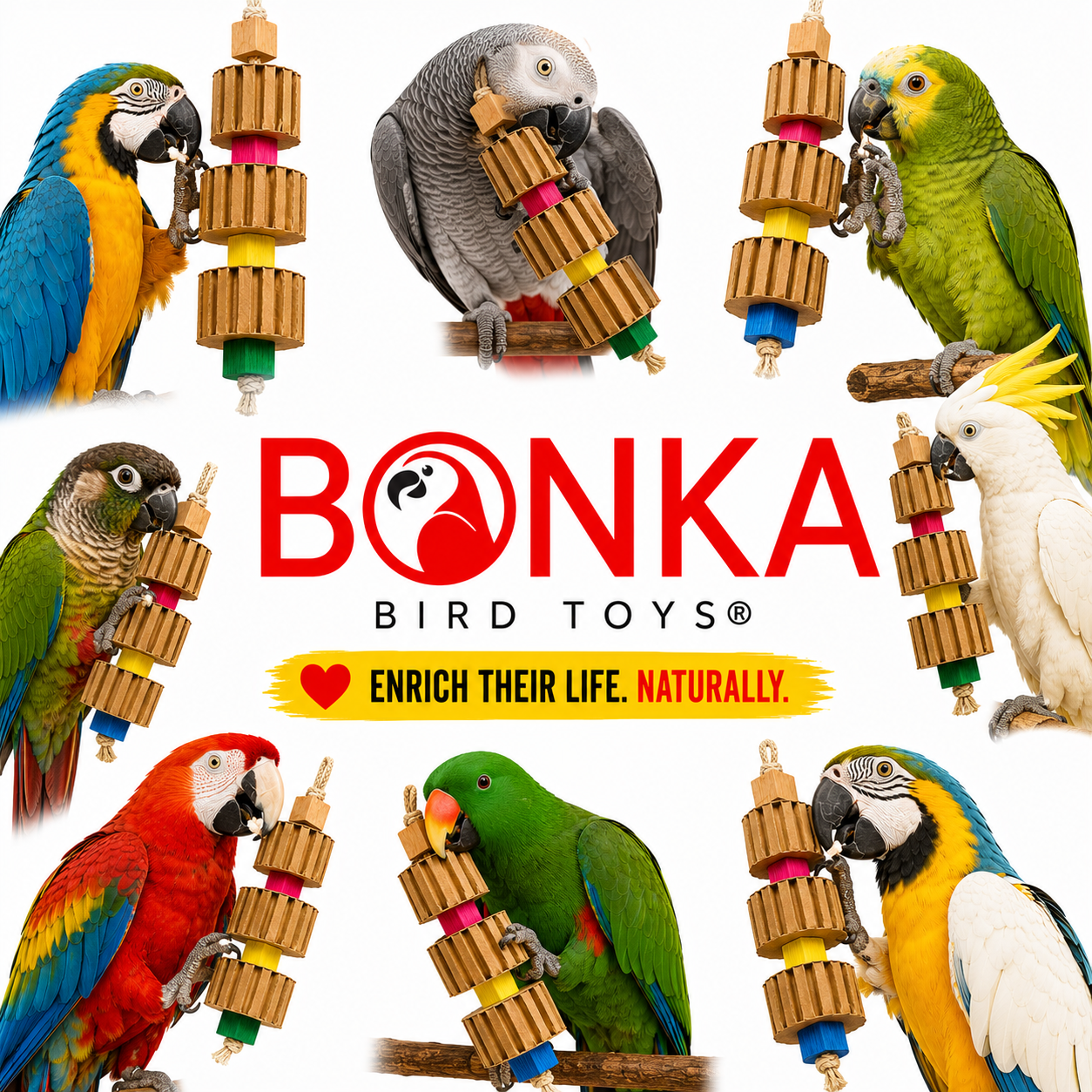 3750 Big Quad Blocks N Cube - Bonka Bird Toys