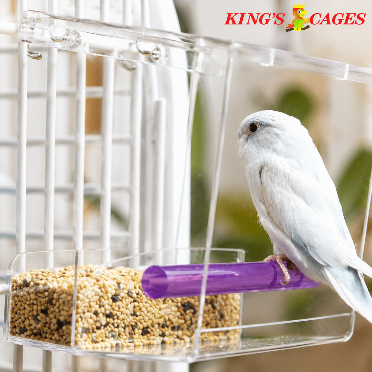 Small Tweeky Clean Tidy Bird Feeder - Bonka Bird Toys
