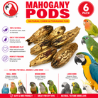2449 Pk6 Mahogany Pods - Bonka Bird Toys