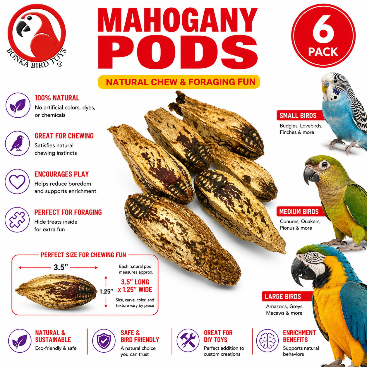 2449 Pk6 Mahogany Pods - Bonka Bird Toys