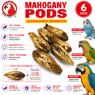2449 Pk6 Mahogany Pods - Bonka Bird Toys