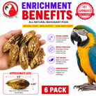 2449 Pk6 Mahogany Pods - Bonka Bird Toys
