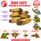 2449 Pk6 Mahogany Pods - Bonka Bird Toys