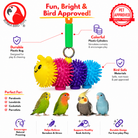 3431 Bonka Bug - Bonka Bird Toys